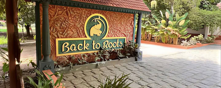 14-Nächte-Detox bei Back to Roots Ayurveda