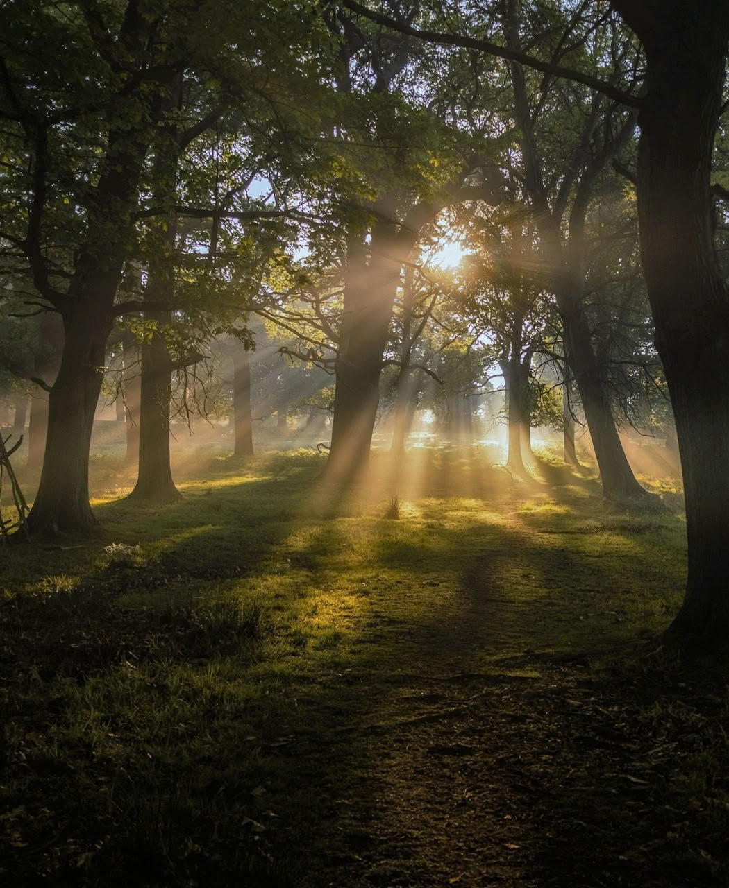 Breathwork Retreat: Atmen und Beginnen
