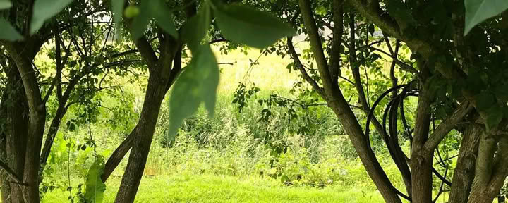 Yoga & Ayurveda Hormon Balance Retreat