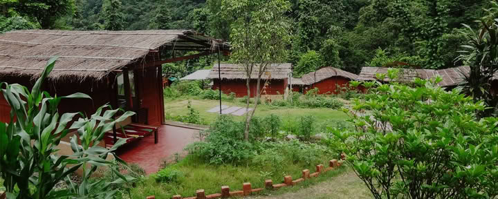 100-Stunden-Yoga-Lehrer-Ausbildung in Rishikesh