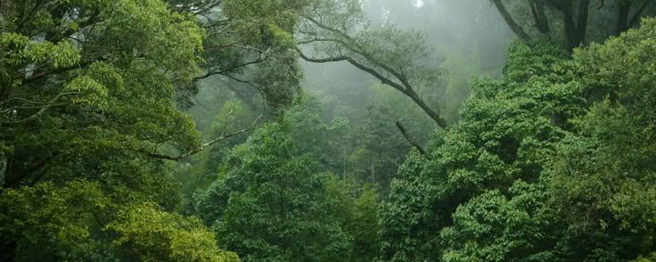 2-Wochen-Retreat