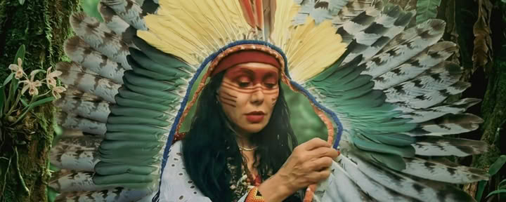 Ayahuasca-Zeremonien