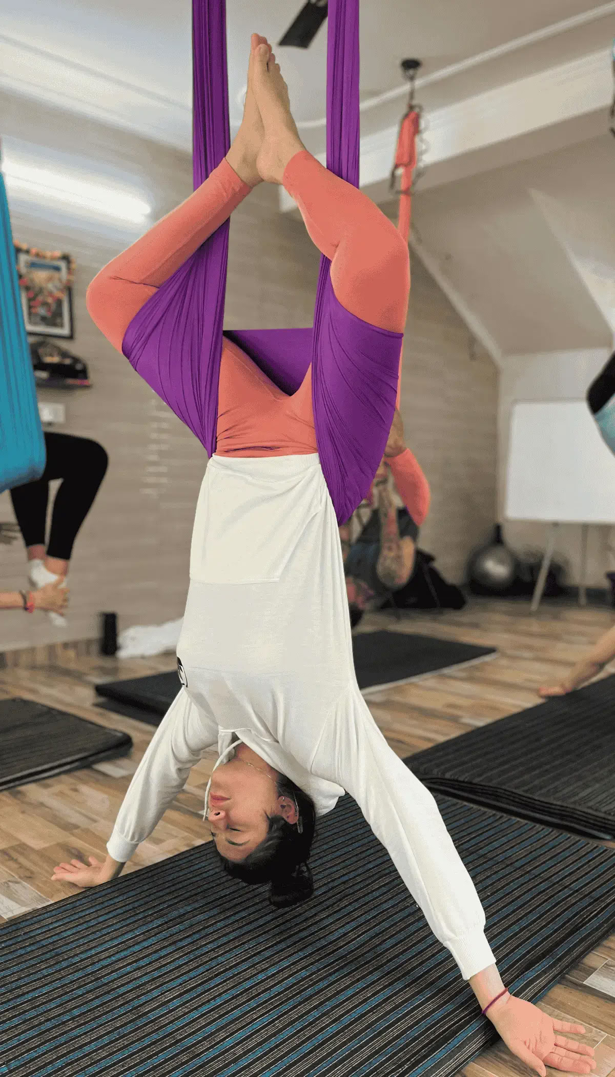 10-tägige Aerial Yoga Teacher Training Rishikesh