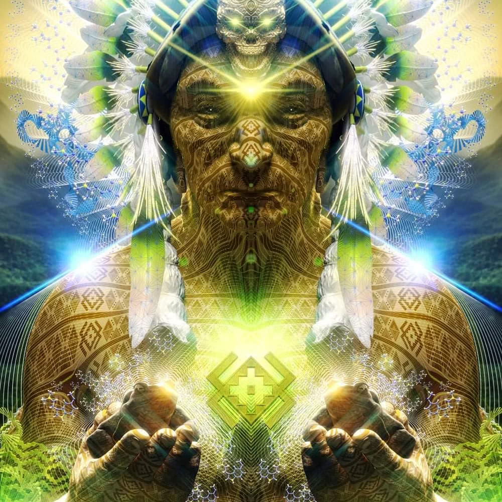 Retreat mit Ayahuasca und Bufo Alvarius