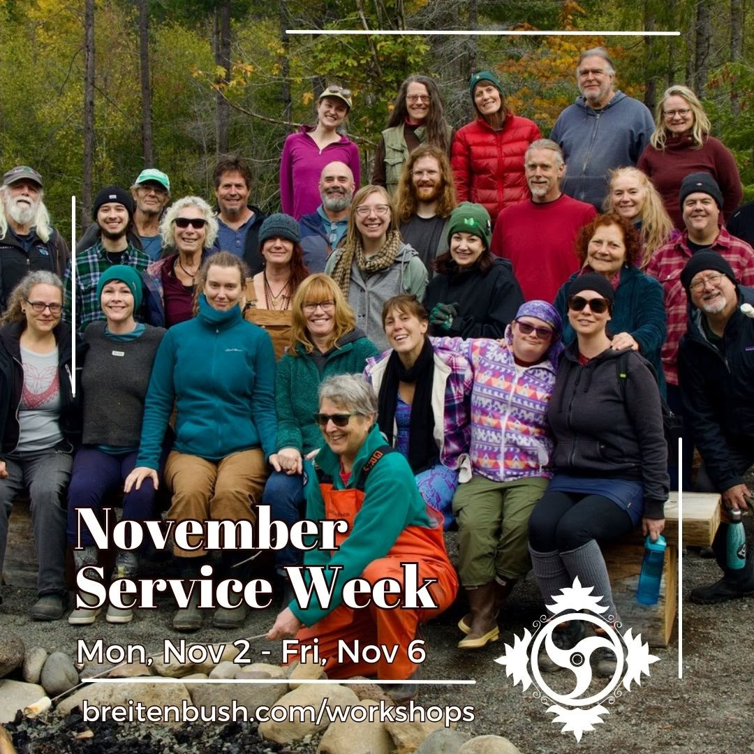 November-Service-Woche