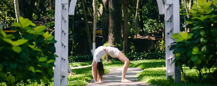 Verdauungs-Wellness & Darmgesundheit Yoga-Therapie Agni Dipanam Yoga Chikitsa