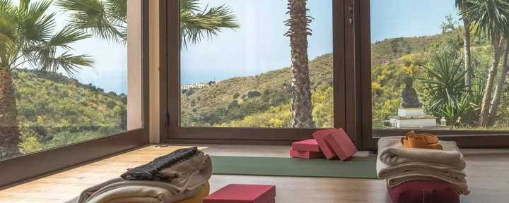 Iyengar Yoga Retreat mit Simon Turner