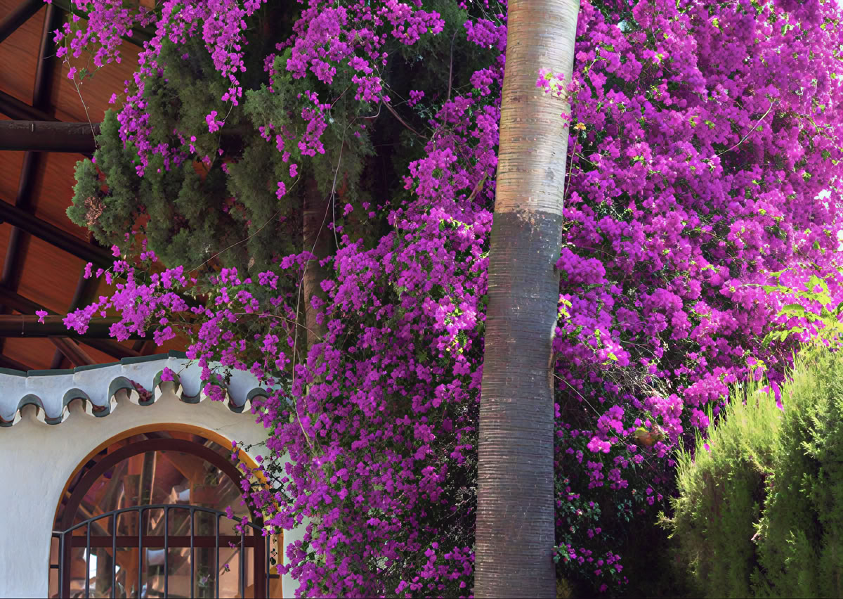 Yoga Retreat mit Lisa Robert