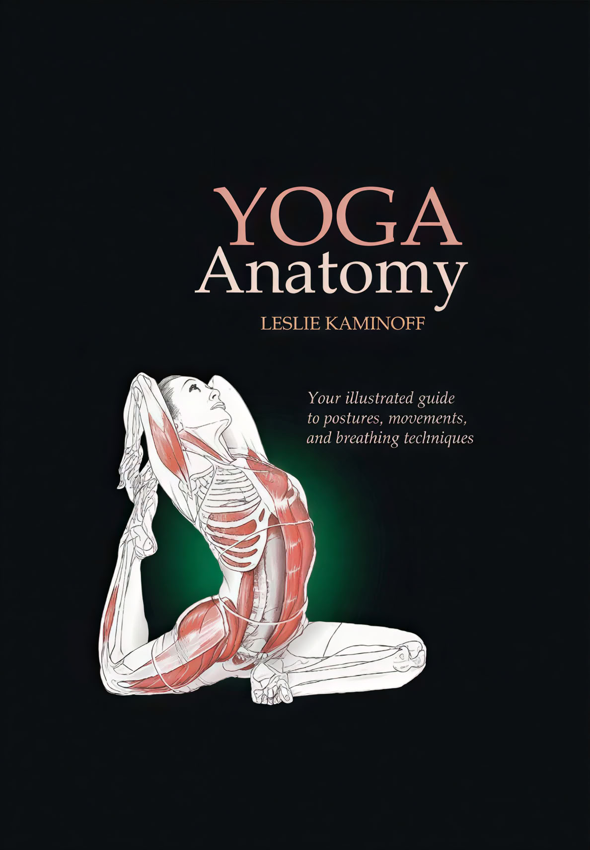 100-Stunden-Pranayama-Lehrerausbildung in Rishikesh