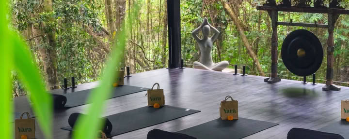 Yoga und Meditation