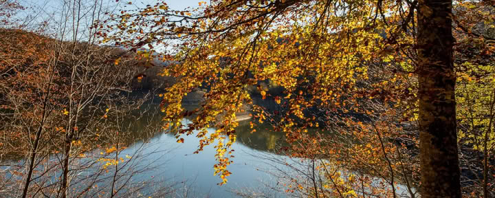 Neujahrs-Yoga-Retreat Spanien: Bewusster Start 2027