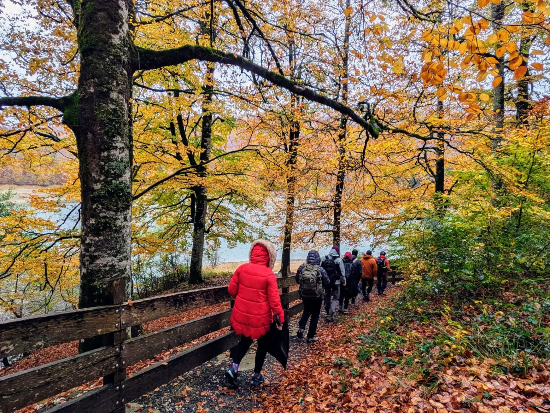 Meditation & Yoga Retreat: Die gemütliche November-Auszeit