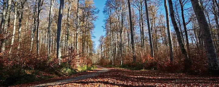 Meditation & Yoga Retreat: Die gemütliche November-Auszeit