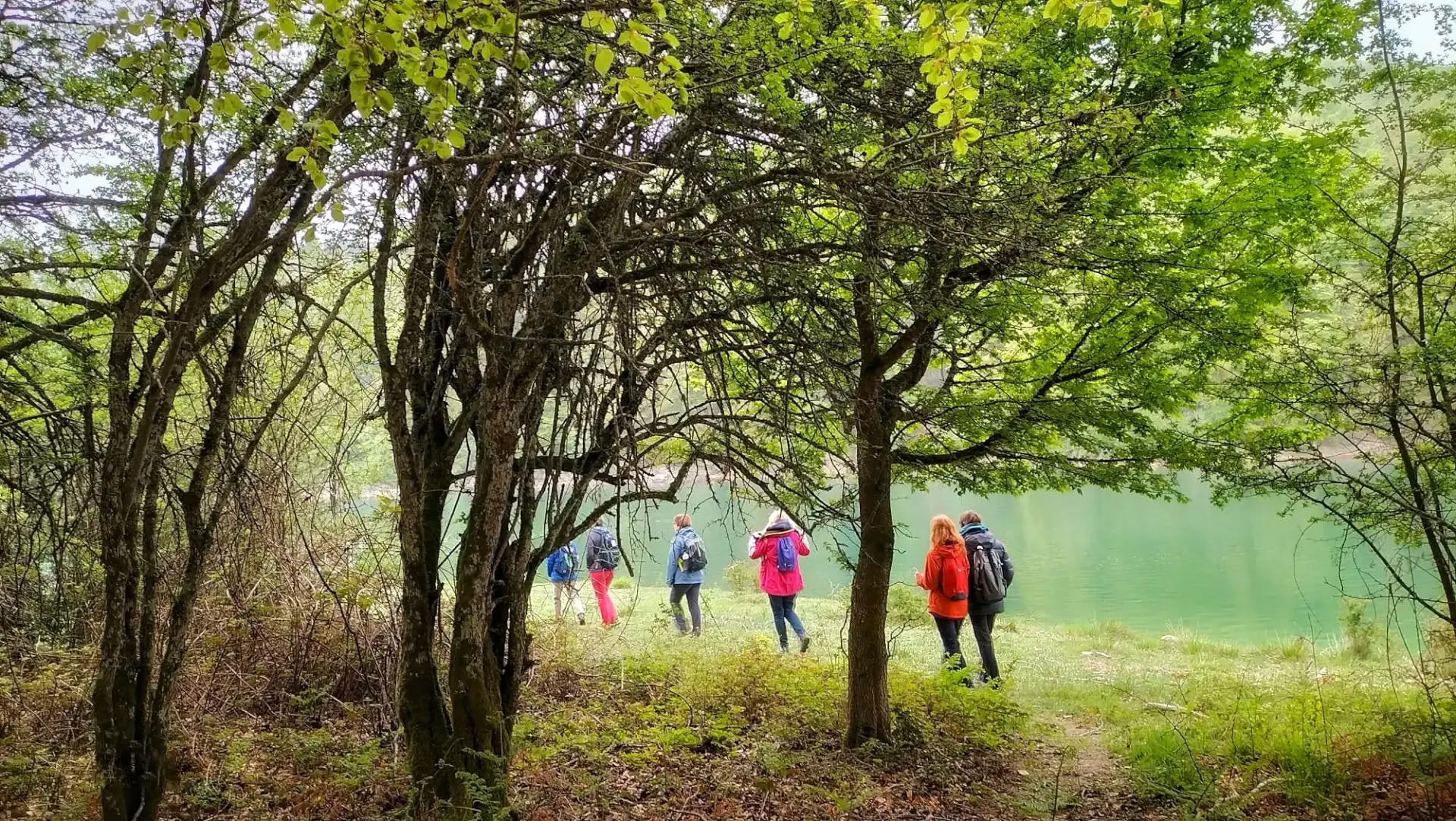 Yoga- und Meditationsrefugium: Ein behütendes Retreat im Irati-Wald