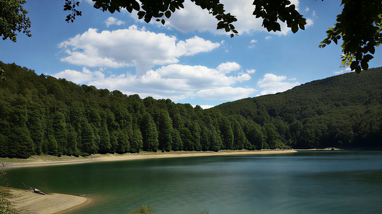 Yoga & Natur-Retreat: Die Goldene Wald-Immersion