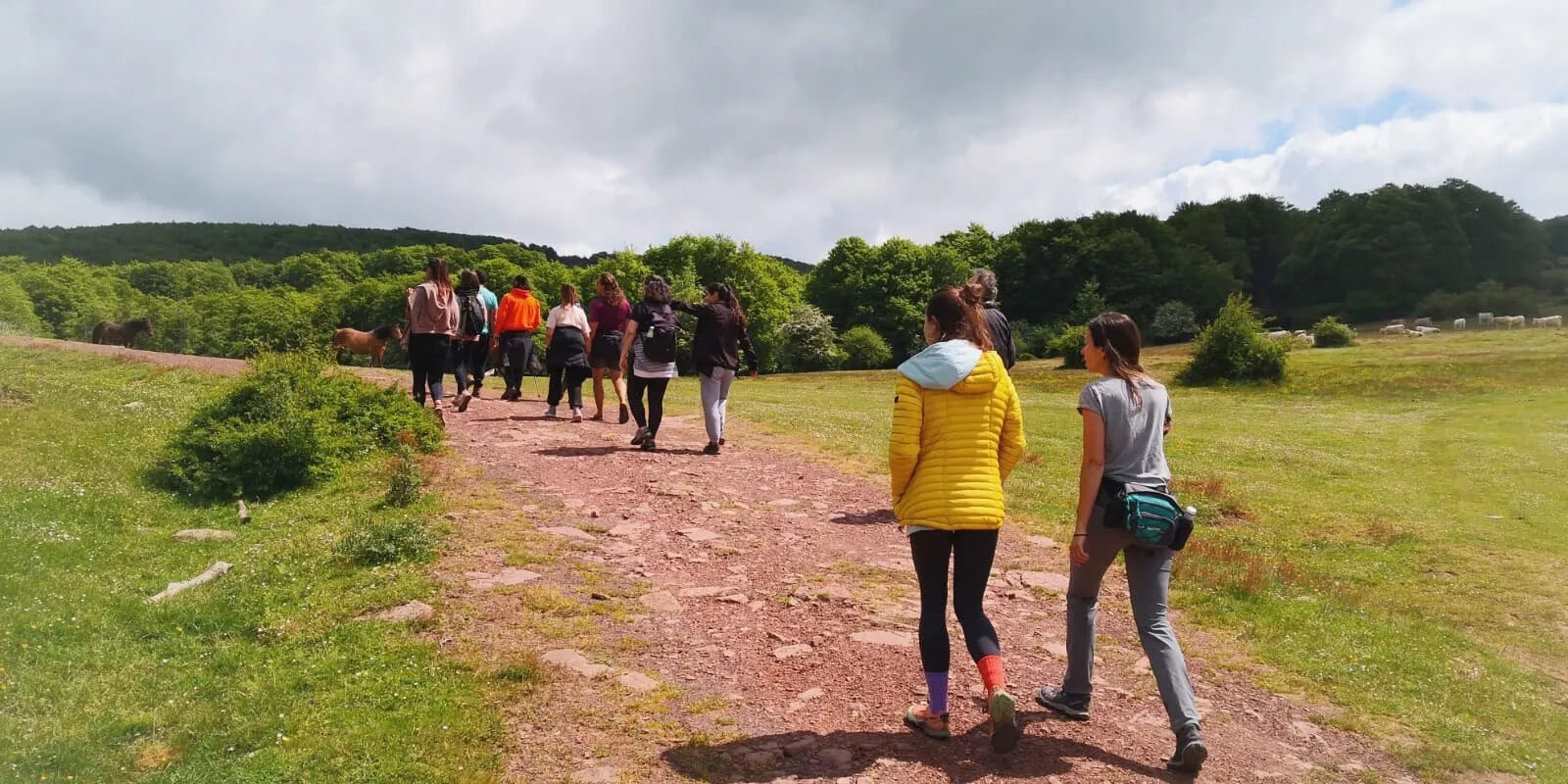 Yoga & Natur-Retreat: Die Goldene Wald-Immersion