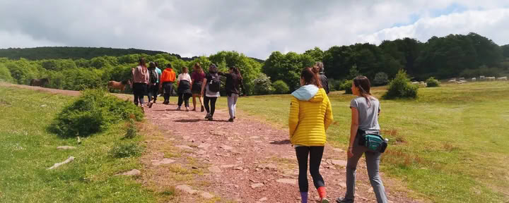 Yoga & Natur-Retreat: Die Goldene Wald-Immersion