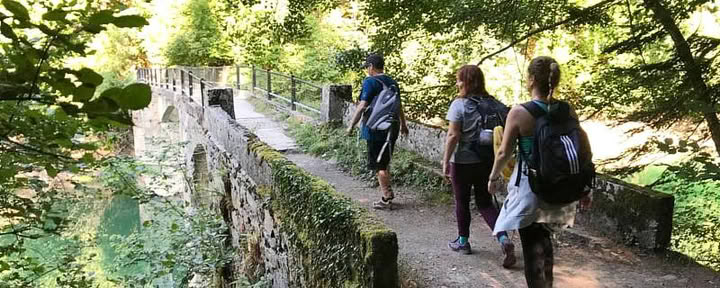 Yoga-Retreat zum Maifeiertag: Wald & Erneuerung