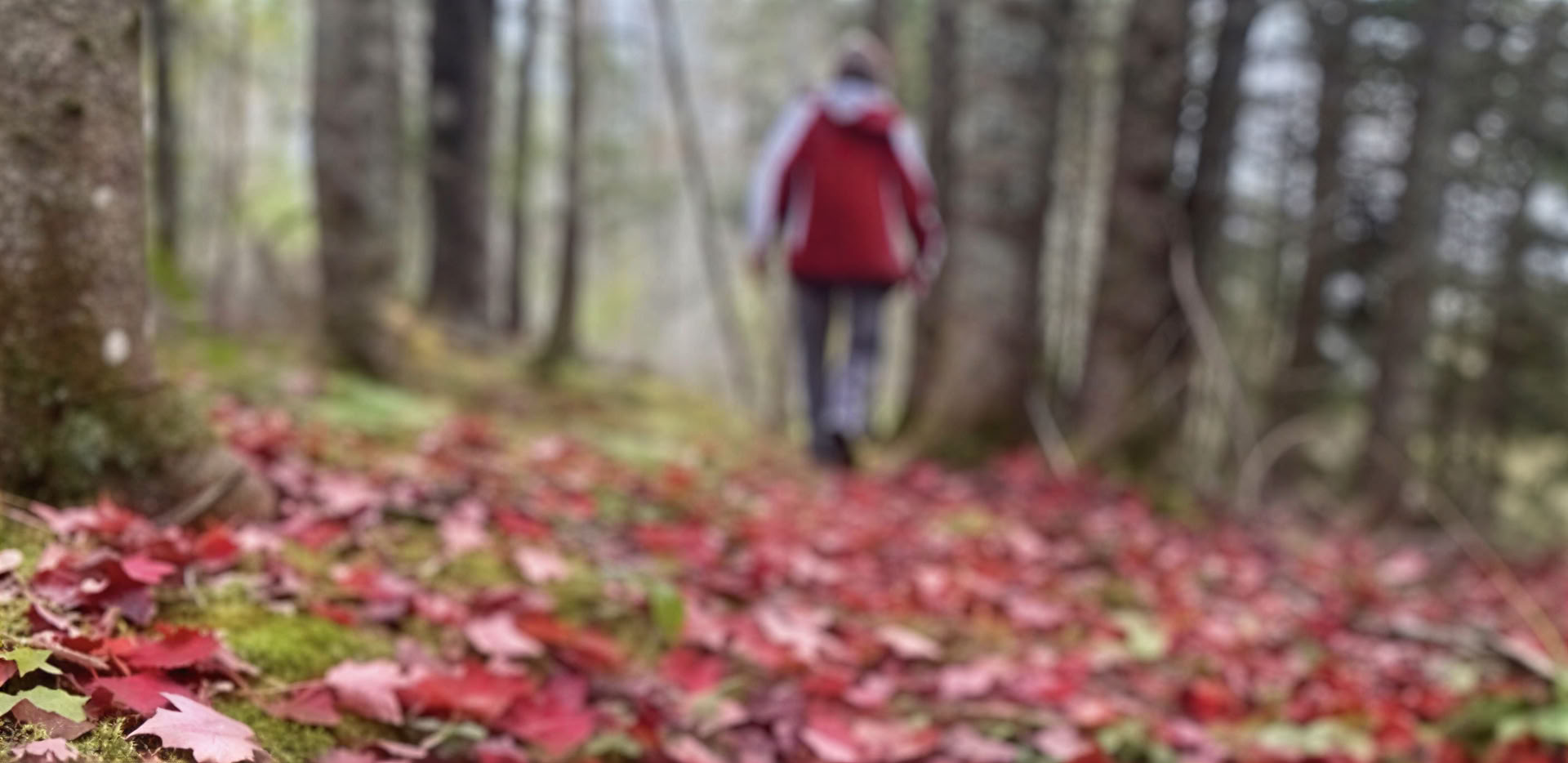 Fokussiere dich neu: Ein achtsames Fotografie-Retreat