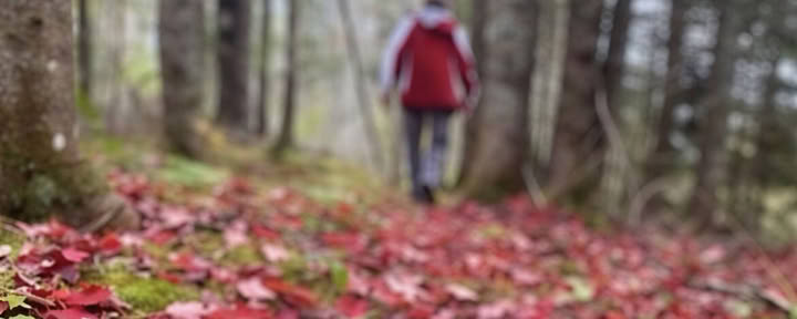 Fokussiere dich neu: Ein achtsames Fotografie-Retreat