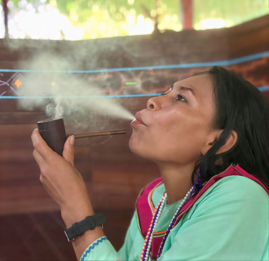 5-tägige Einführung in Ayahuasca und amazonische Pflanzenmedizin