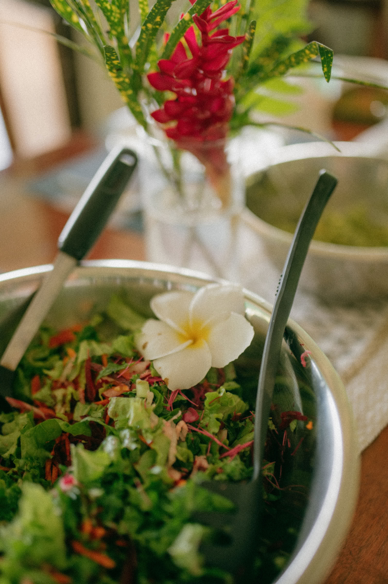 Ayahuasca-Workshops – 11 Tage