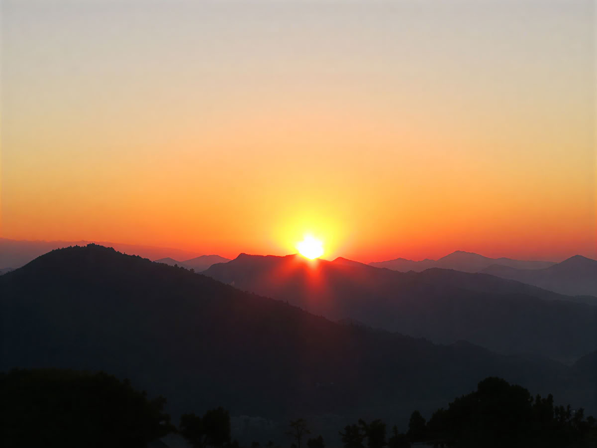 Yoga-Wellness-Retreat