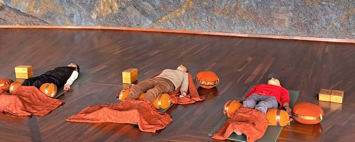 Yoga für das Leben-Programm