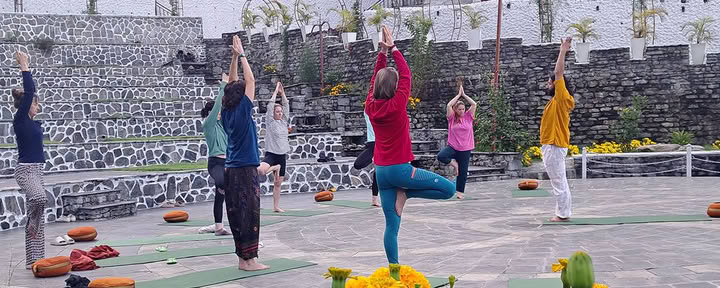 Ultimatives Detox-Programm
