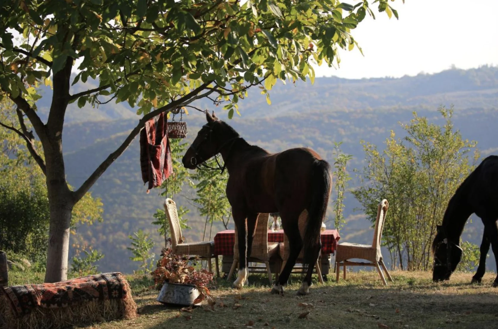 Frühlingsblüten-Yoga-Retreat