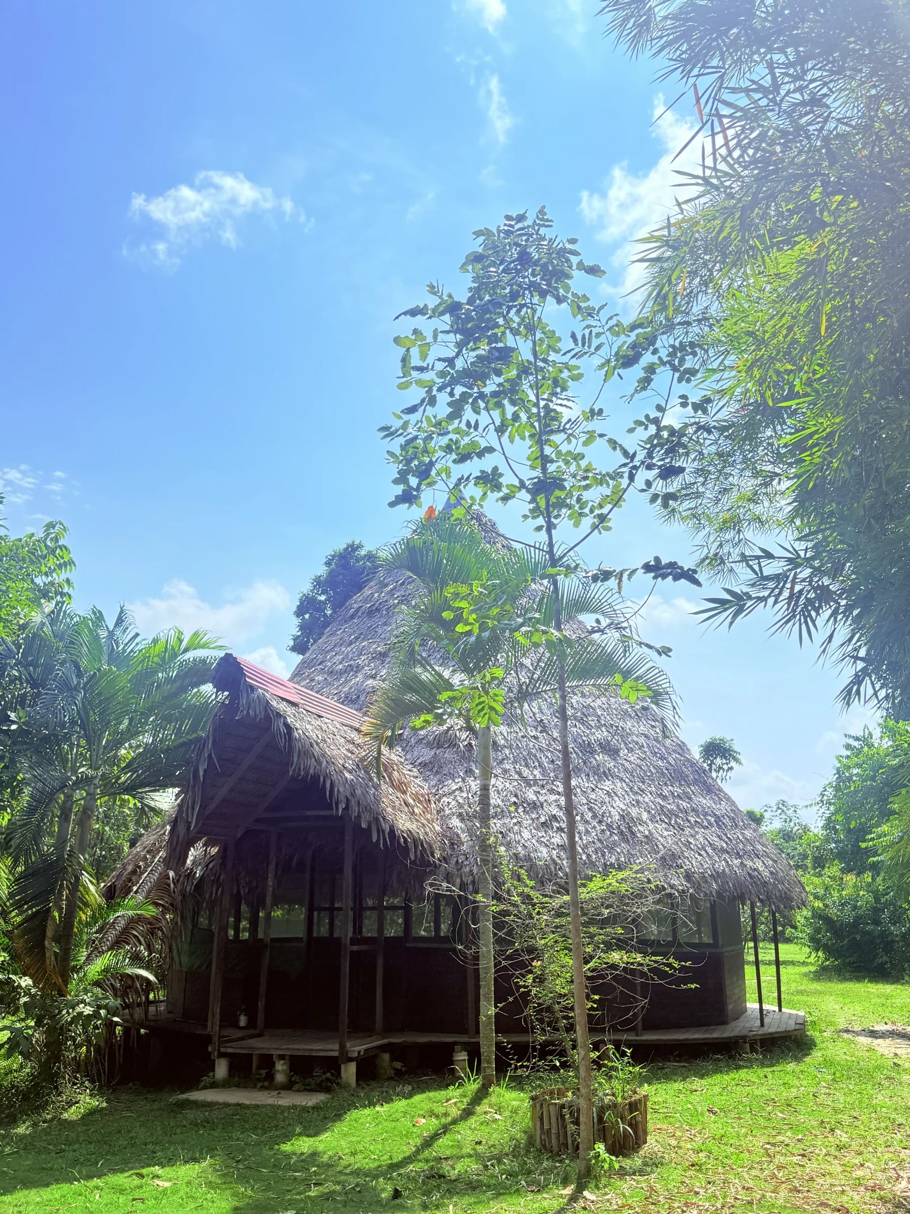 3-wöchige Ayahuasca-Transformation