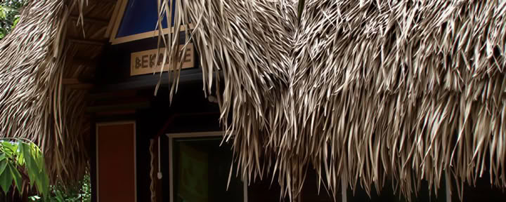 1-wöchige Ayahuasca-Transformation