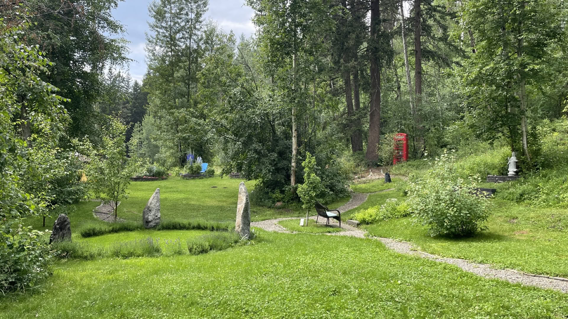 Erwache in der Wildnis