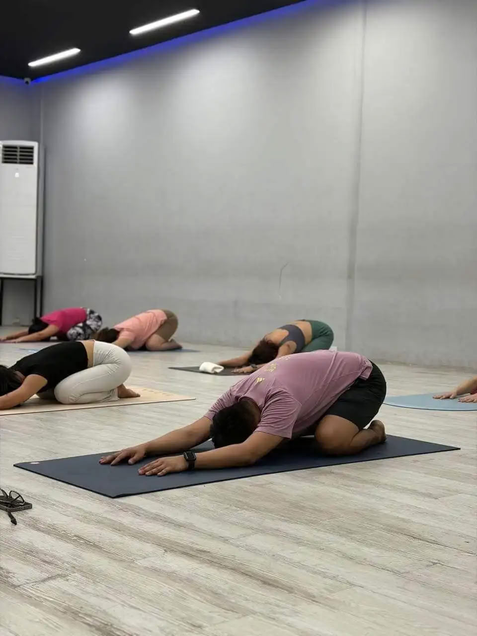 100-Stunden-Yogalehrerausbildung Rishikesh