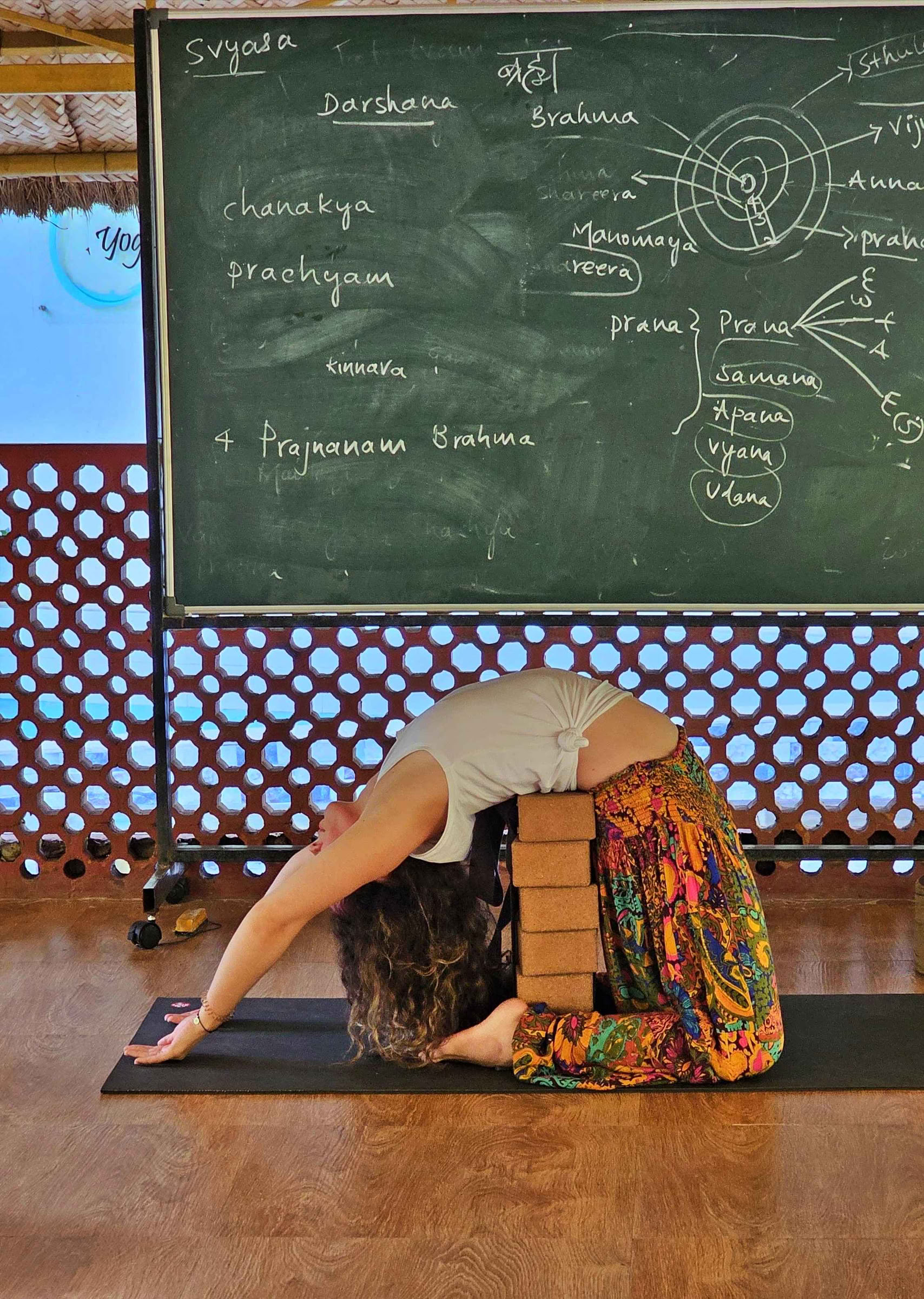 300-Stunden-Fortgeschrittenen-Yogalehrerausbildung - Januar 2027