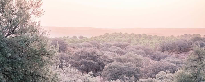 Kundalini-Yoga-Retreat