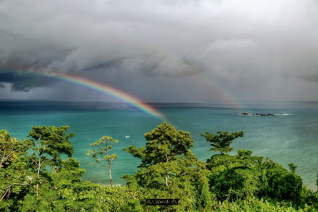 3. bis 13. Juli 2026 | Osa-Halbinsel, Costa Rica