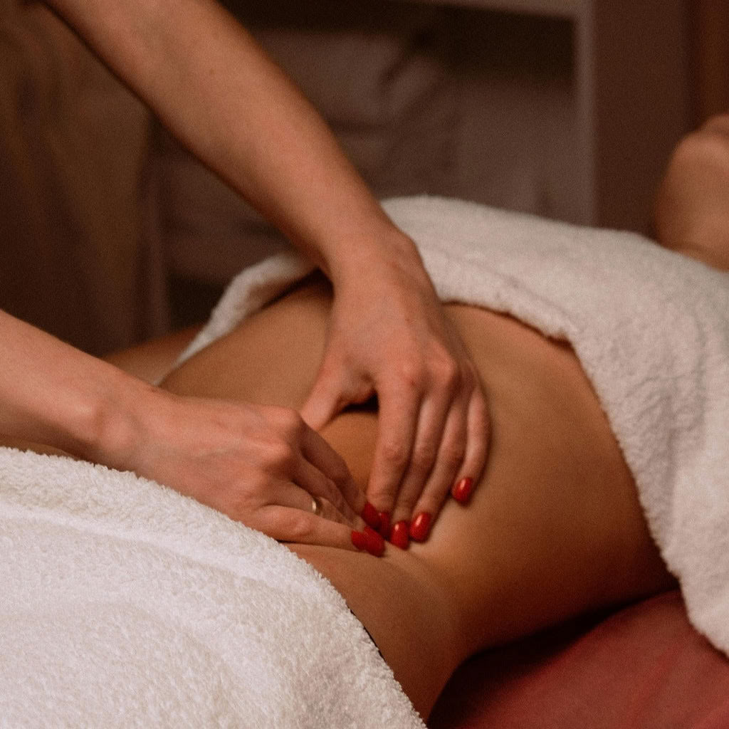 Abdominal Womb Healing Training 2026