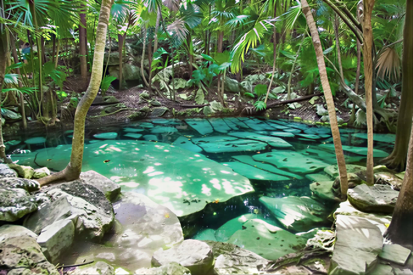 7-tägiges stilles nonduales Tantra-Meditations-Retreat
