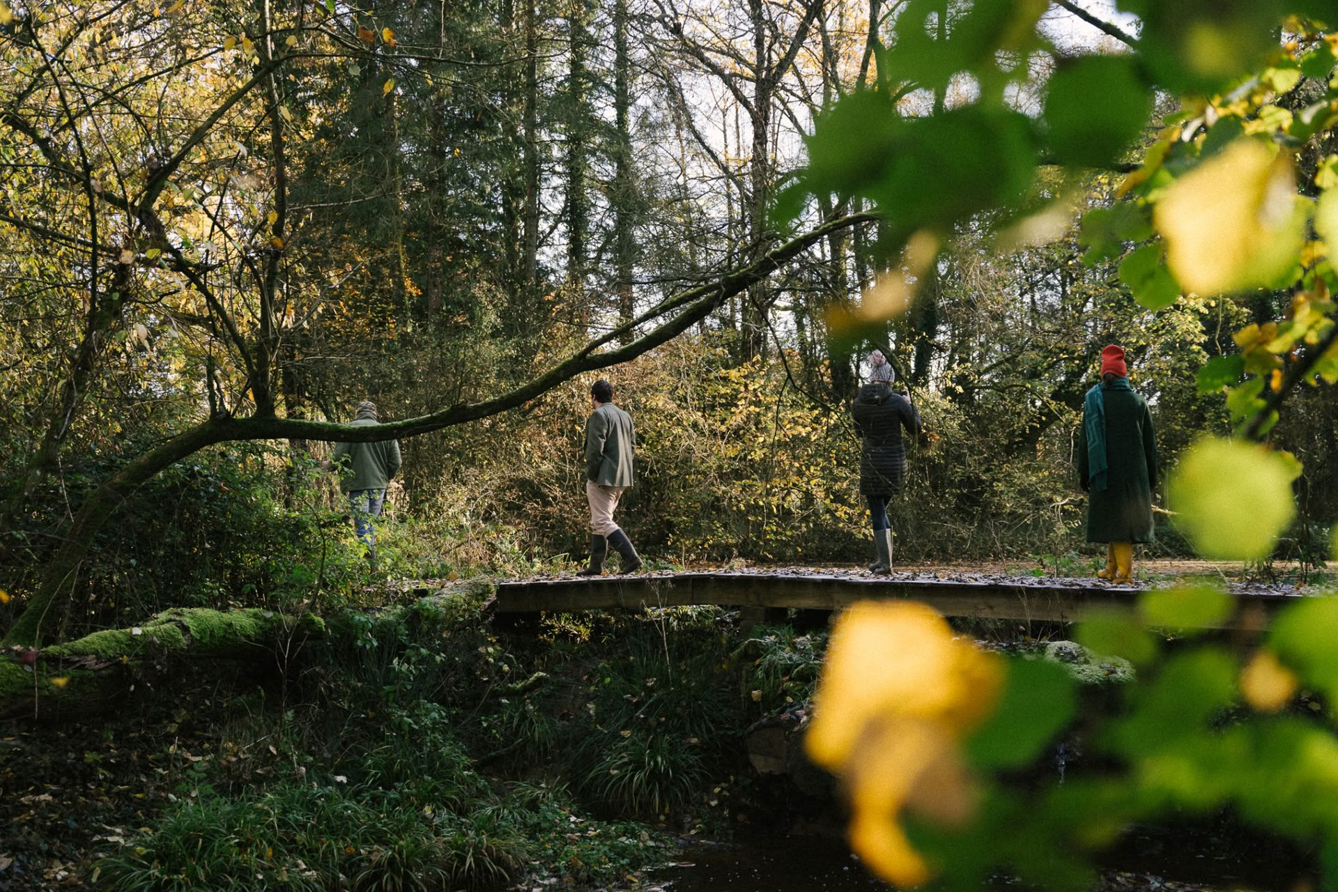 Geführter Rewilding-Spaziergang