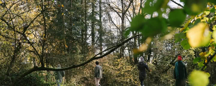 Wald-Schnitzeljagd