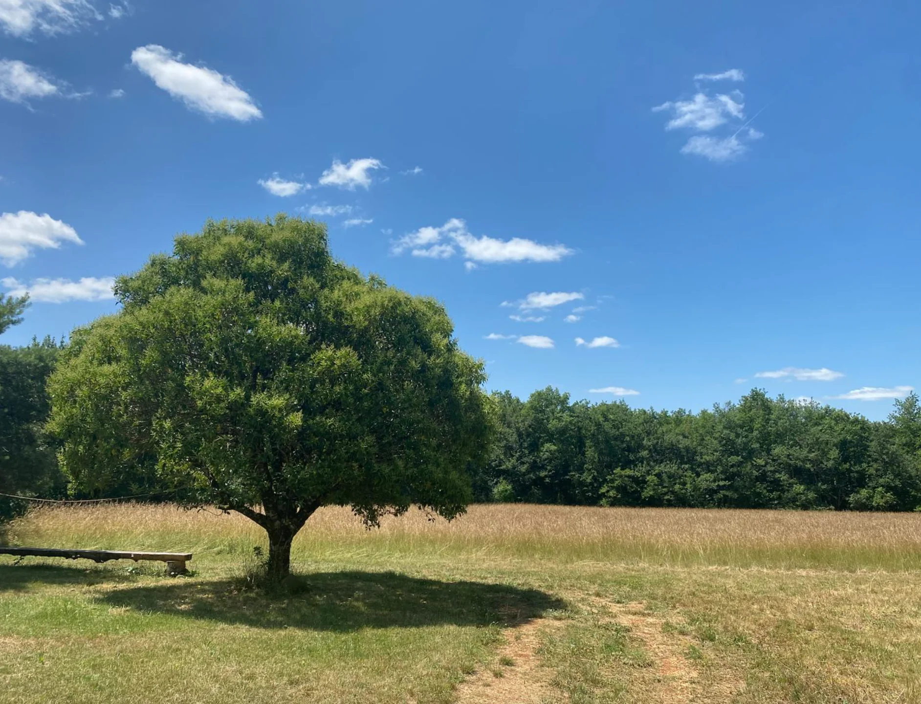 Heilendes Yoga- und Meditations-Retreat