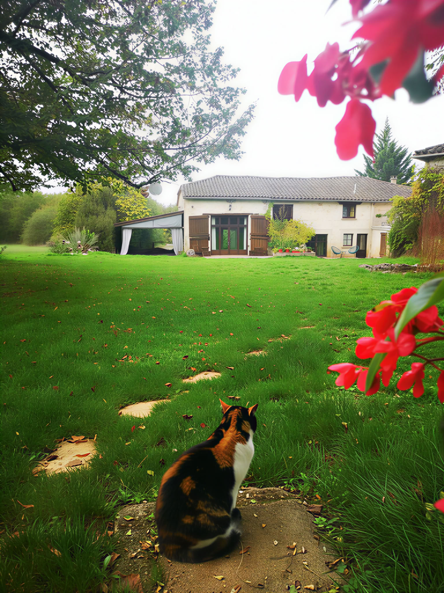 Heilendes Yoga- und Meditations-Retreat