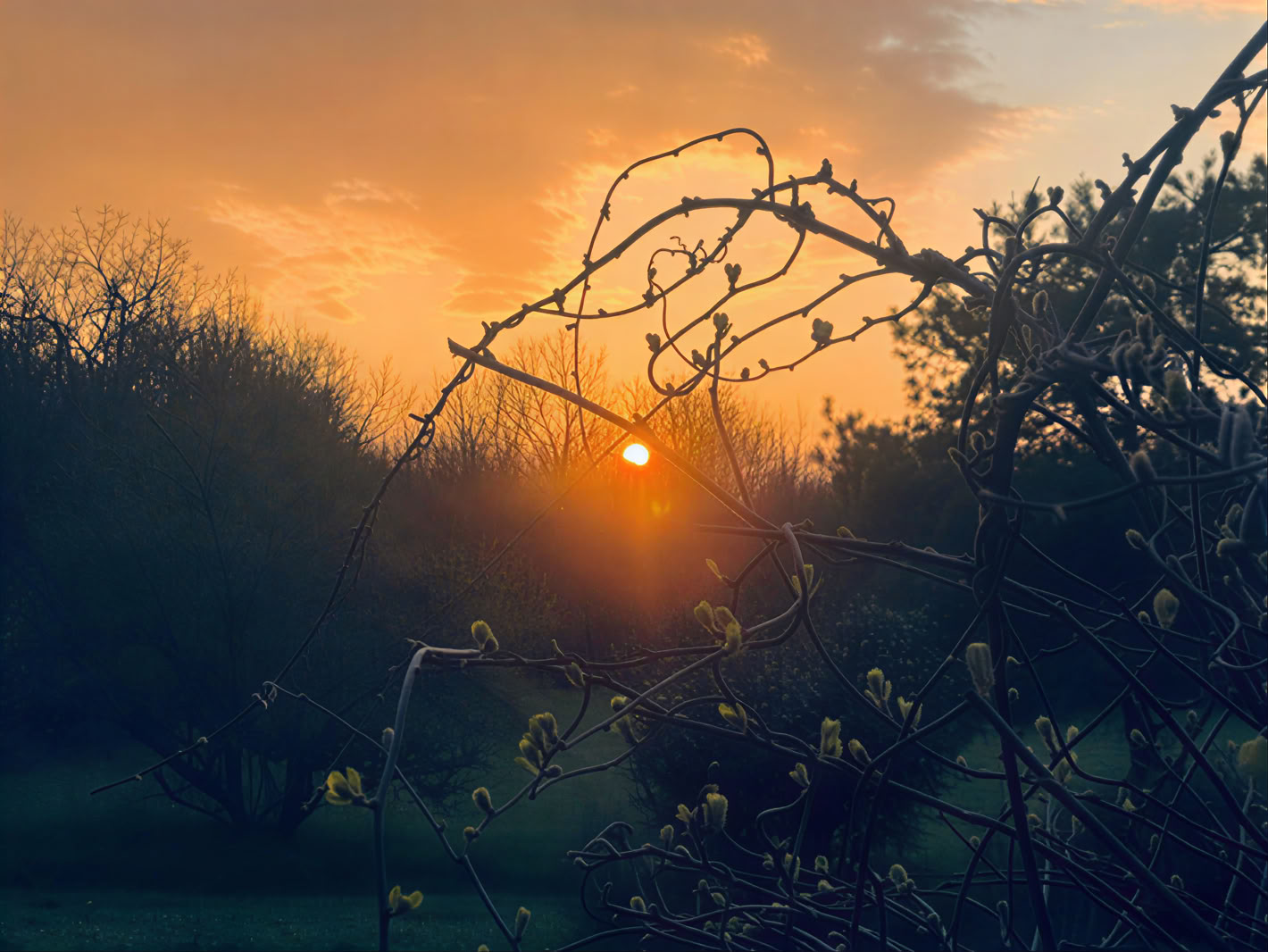 Yoga- und Meditations-Retreat in Südfrankreich