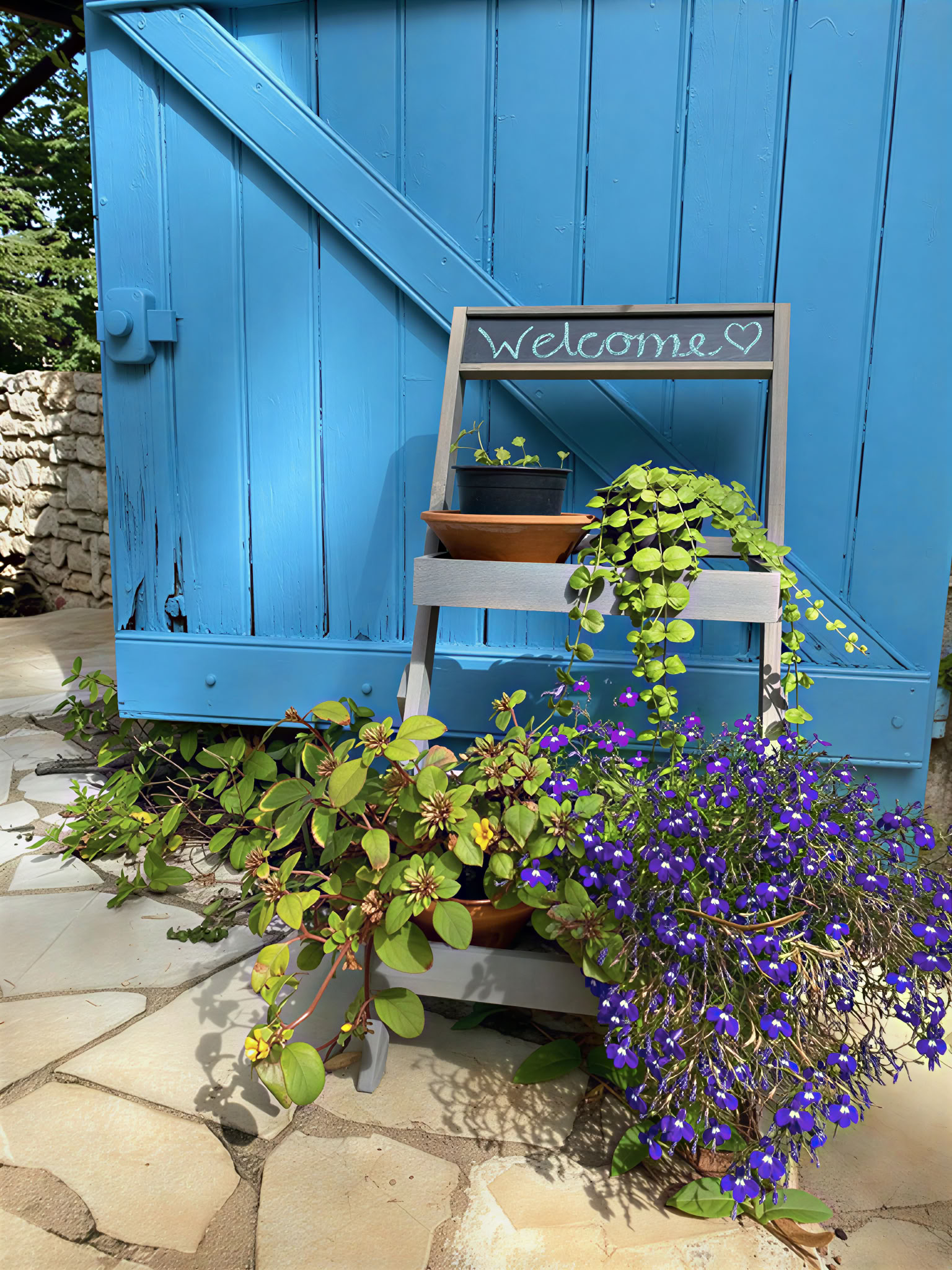 Yoga- und Meditations-Retreat in Südfrankreich