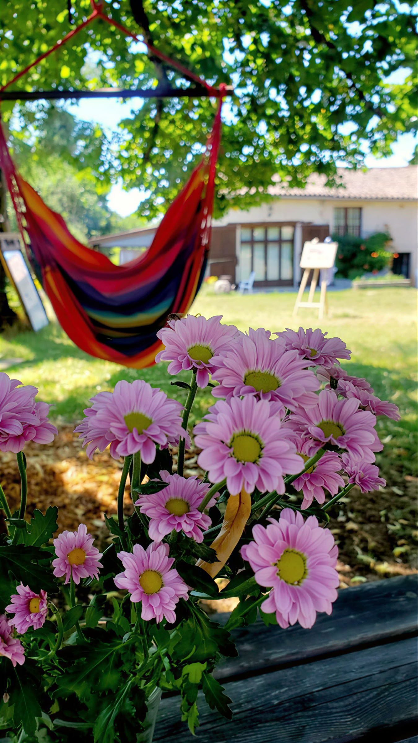 Yoga- und Meditations-Retreat in Südfrankreich