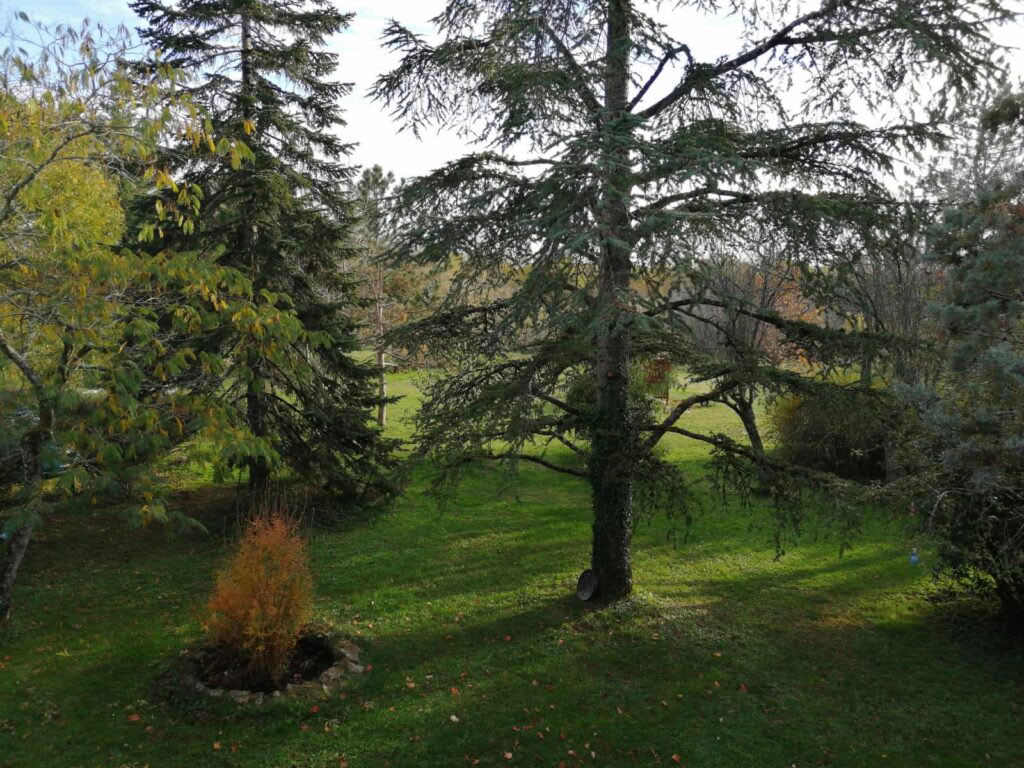 Yoga- und Meditations-Retreat in Südfrankreich