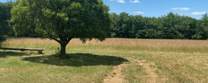 Yoga- und Meditations-Retreat in Südfrankreich