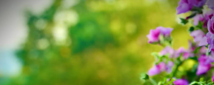 Sensing-Programm