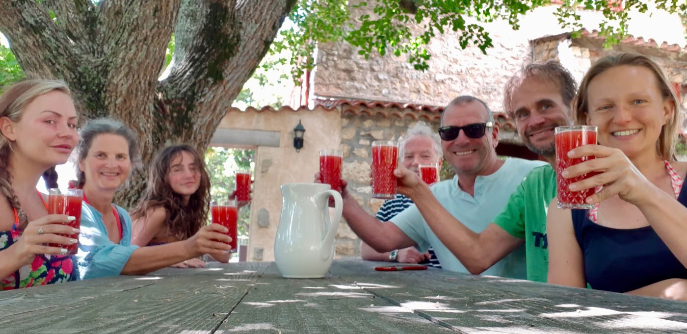Detox-Saft-Retreat